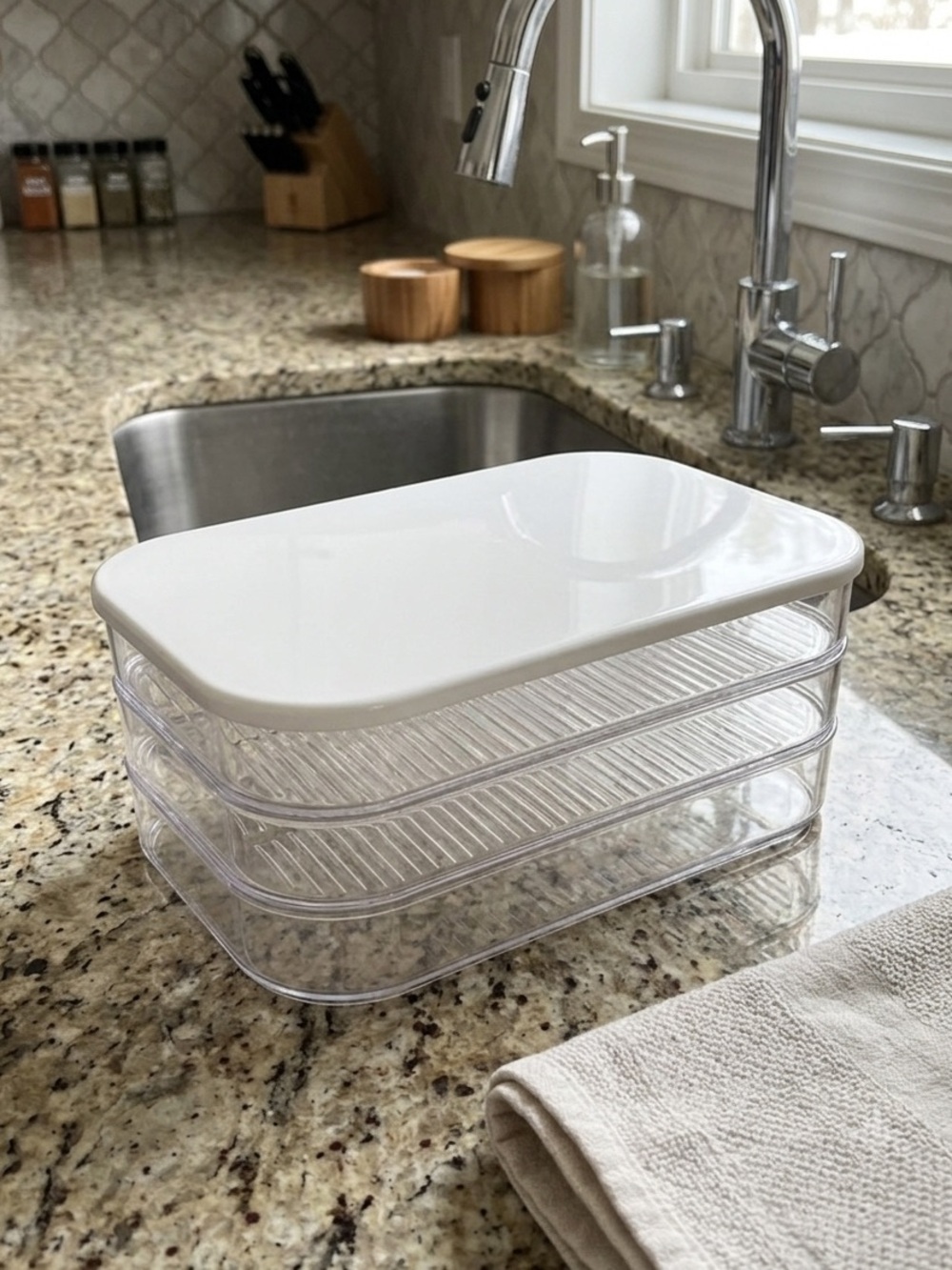 Transparent Food Storage Box